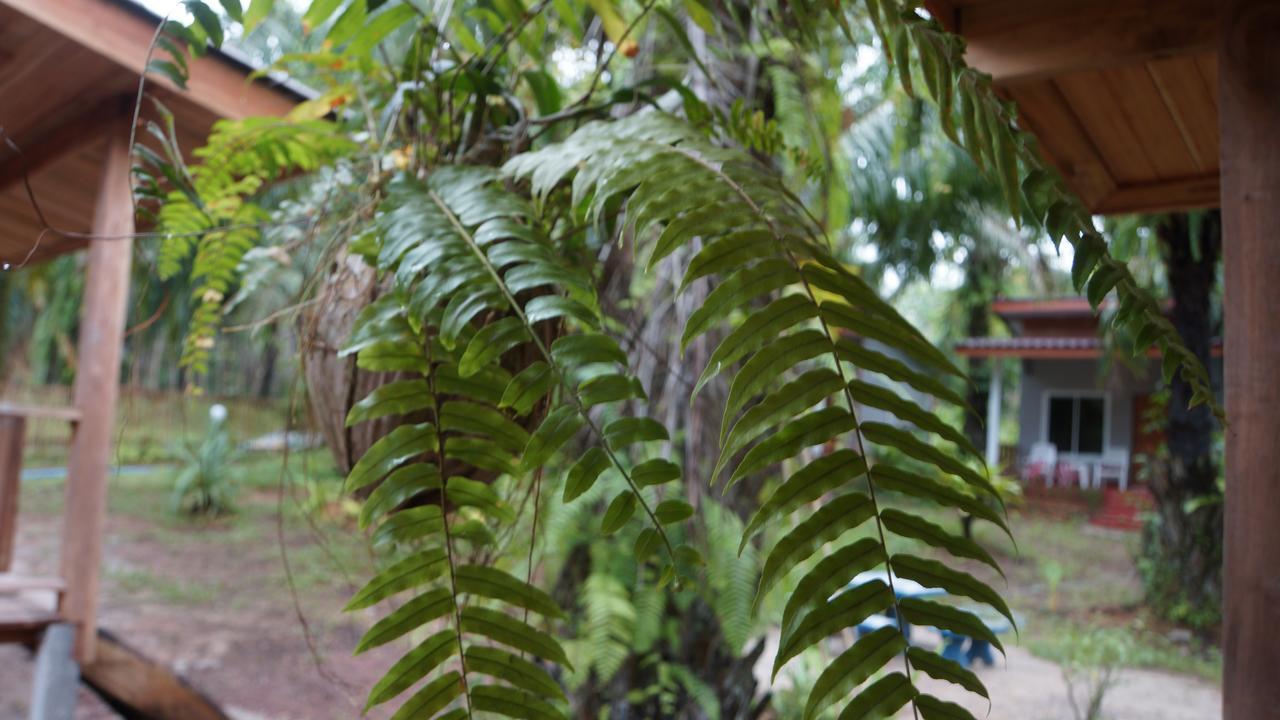 Mada Lanta Mai Keaw Hotel Koh Lanta Bagian luar foto